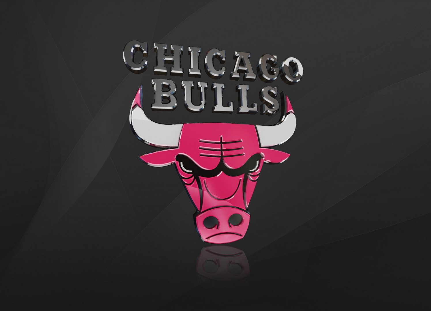 Chicago Bulls Logo 3D