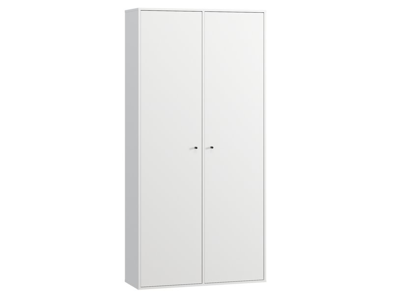 Распашной шкаф Сайрис-2 White