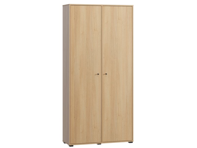 Распашной шкаф Сайрис-2 Oak