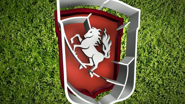 FC Twente Logo 3D