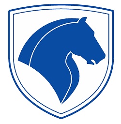 Samand logo