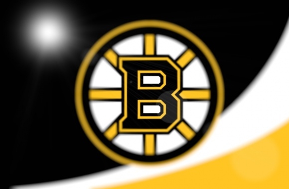 Boston Bruins Logo 3D