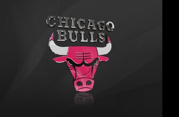 Chicago Bulls Logo 3D