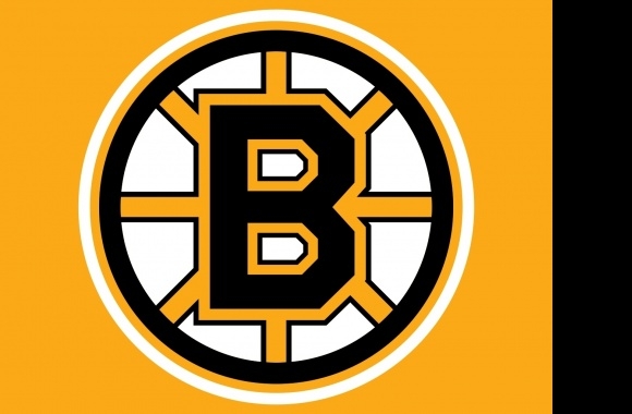 Boston Bruins Symbol