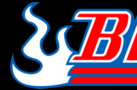 Bleach Logo