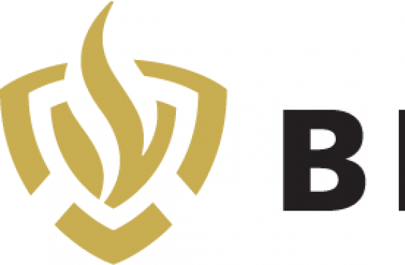 Brandweer Logo