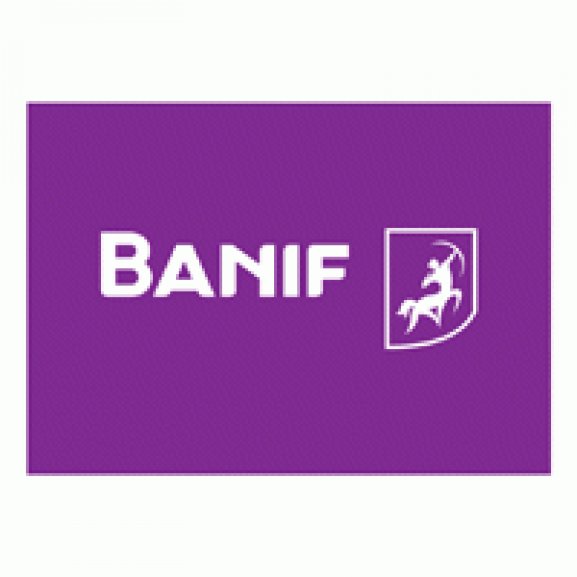 Banif Horizontal Negative Logo