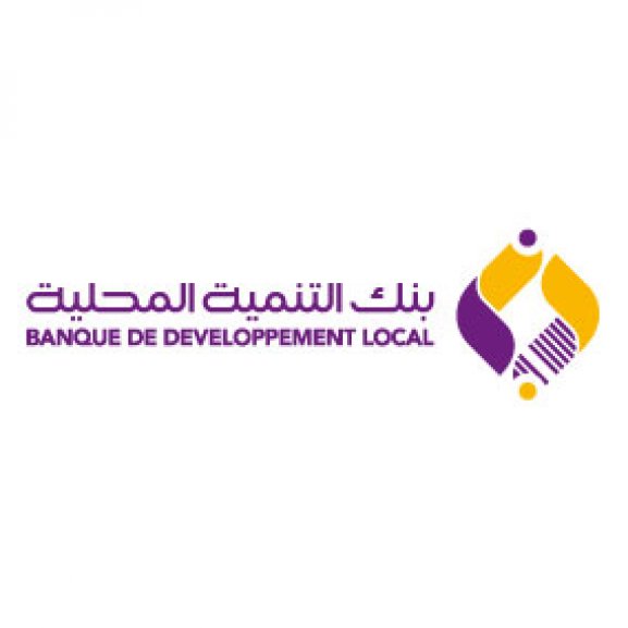 Banque de Développement Local Logo