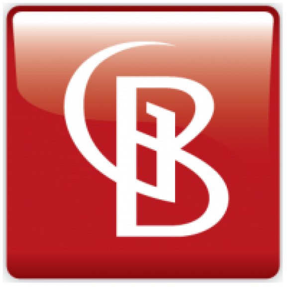 Braber Logo
