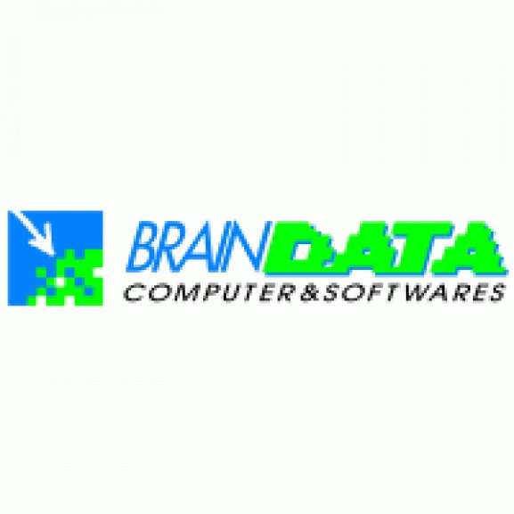 Brain Data Logo