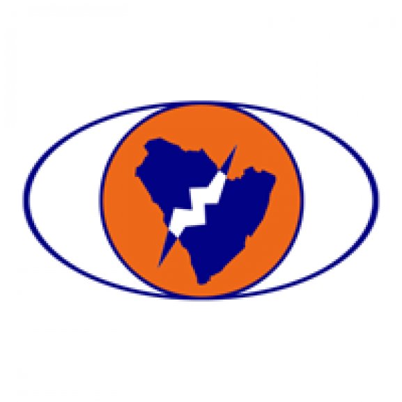 Bright Wires Company Logo