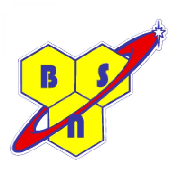 BSN Logo