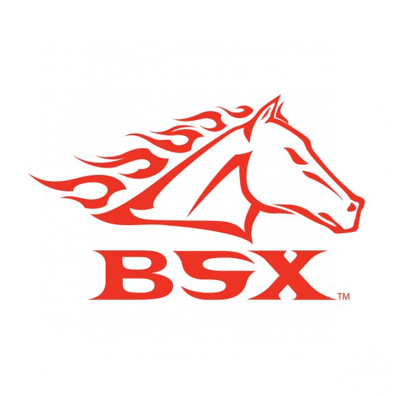 BSX Logo