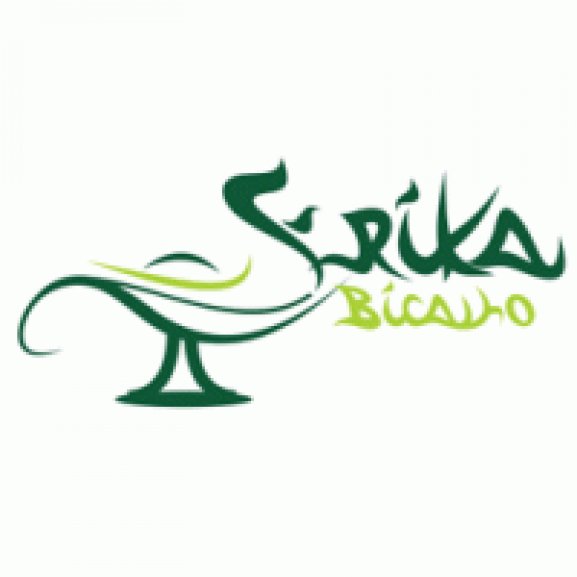 Erika Bicalho Logo