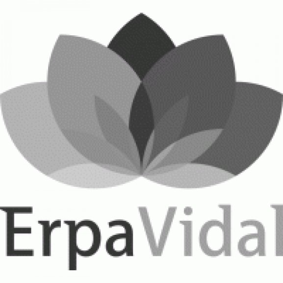 erpavidal Logo