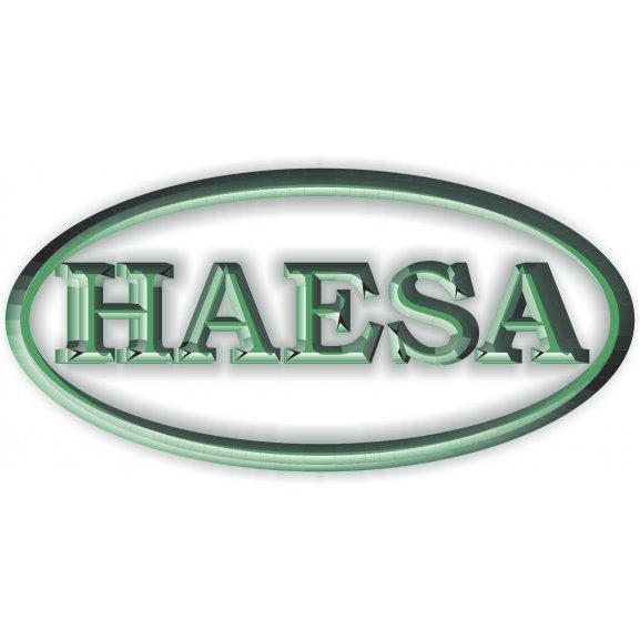 Haesa Comercial Logo