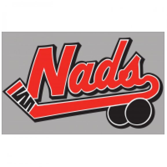 Nads - RISD Hockey Logo