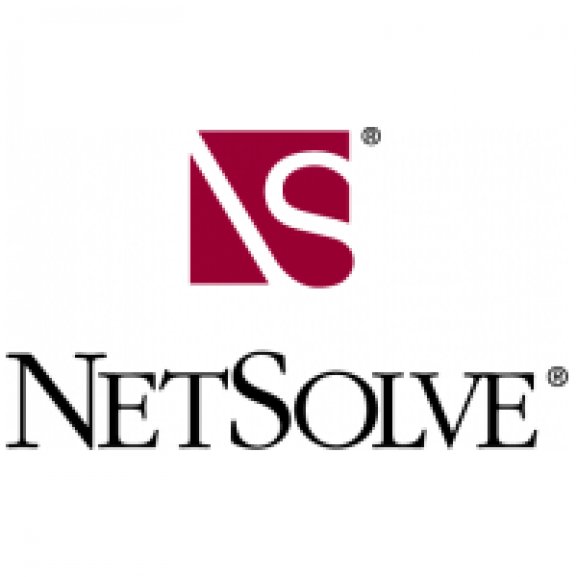 NetSolve Logo