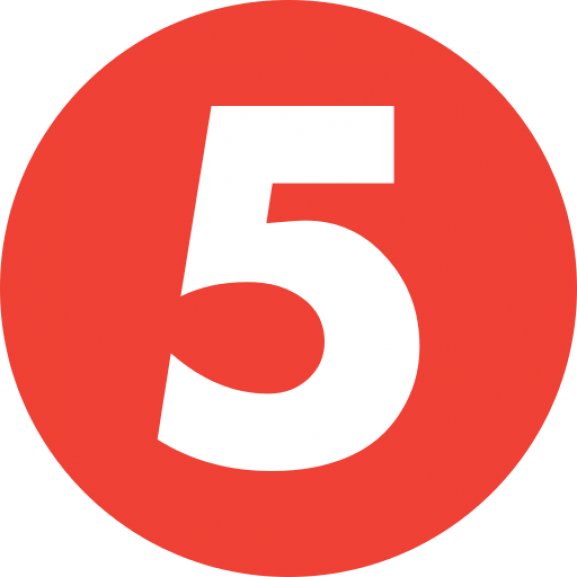The 5 Network Logo