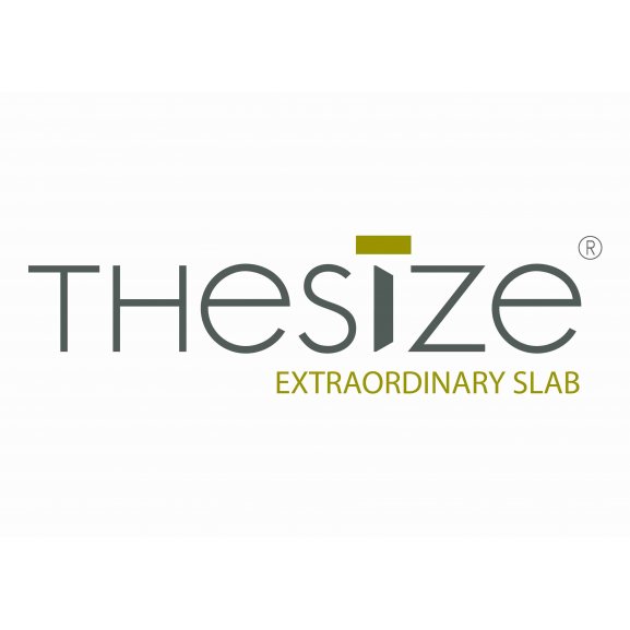 Thesize Logo