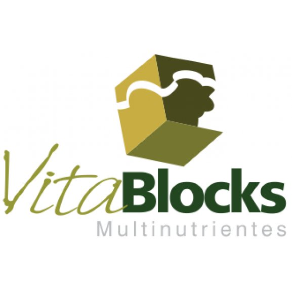 Vitablocks Logo