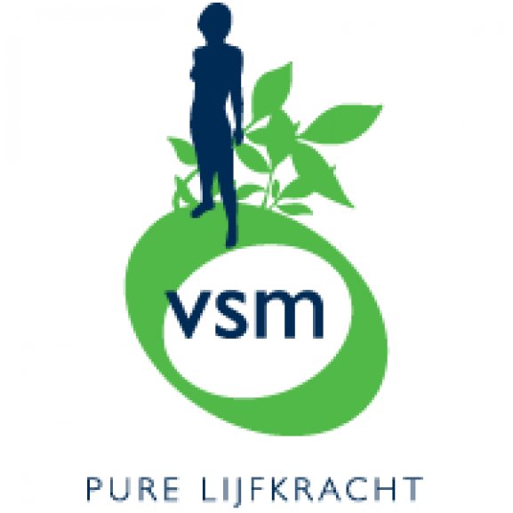 VSM Logo