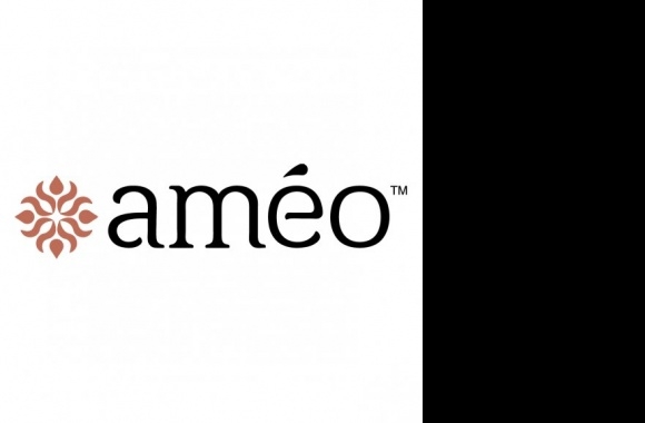 Ameo Logo