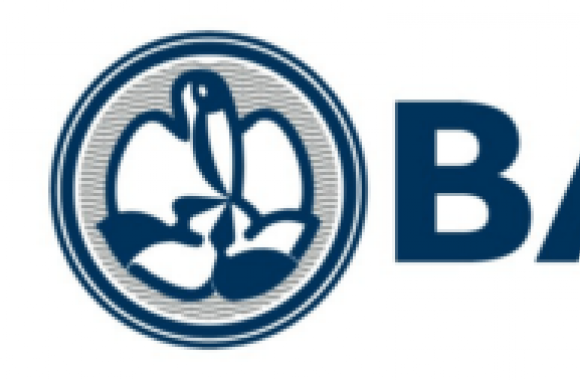 Banca Carim Logo