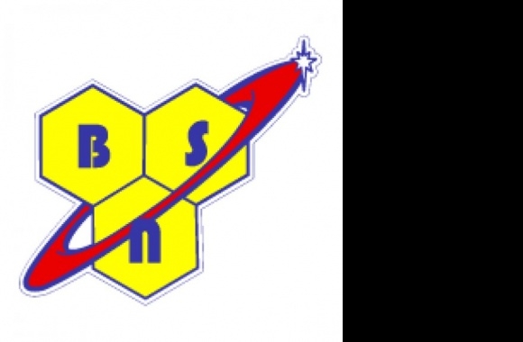 BSN Logo