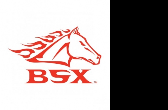 BSX Logo