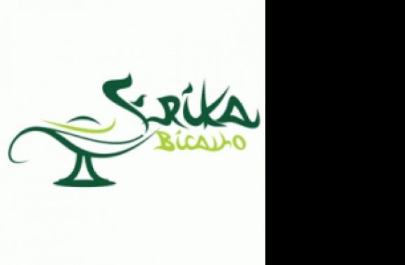Erika Bicalho Logo