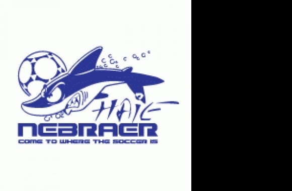 Nebraer Logo