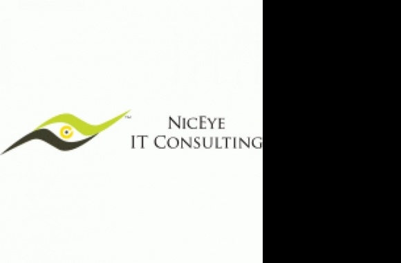 Niceye IT Consulting Logo