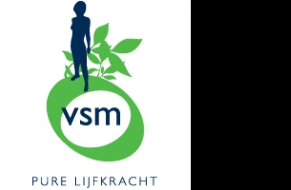 VSM Logo