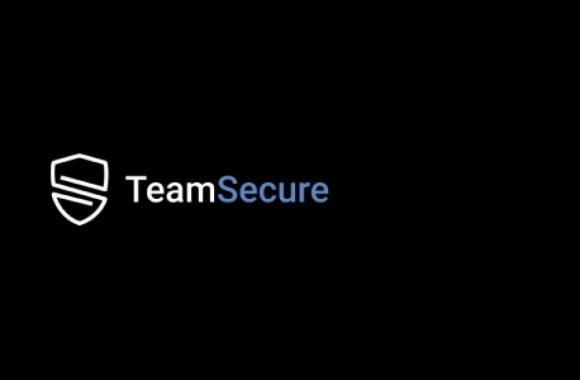 TeamSecure.io Logo