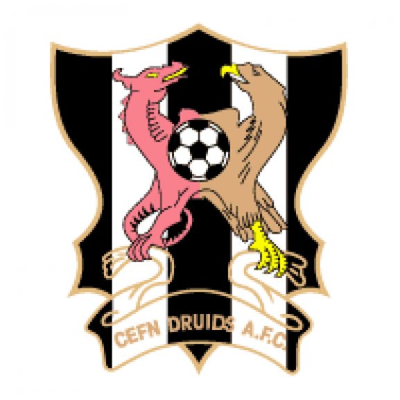 AFC Newi Cefn Druids Logo