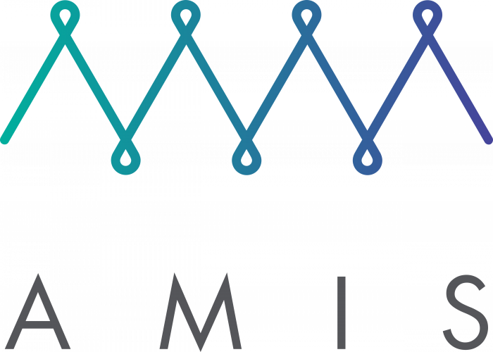 Amis Logo