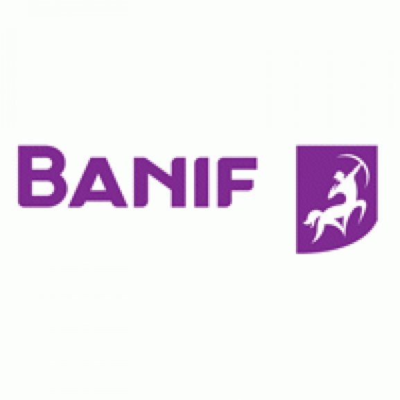 Banif Horizontal Positive Logo