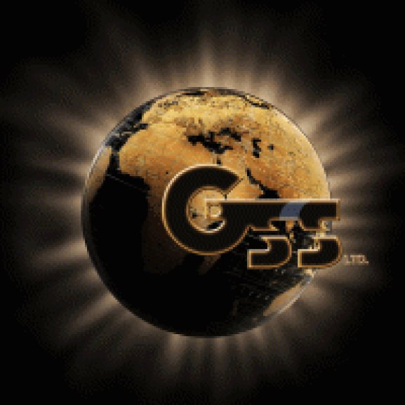 GSS Gold Standard Solutions Logo