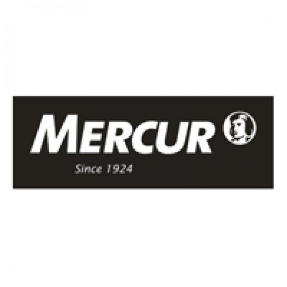 Mercur Logo