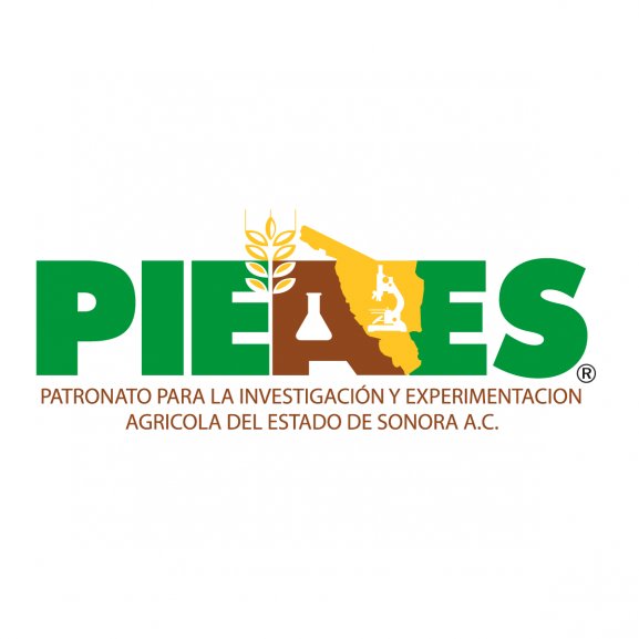 Pieaes Logo