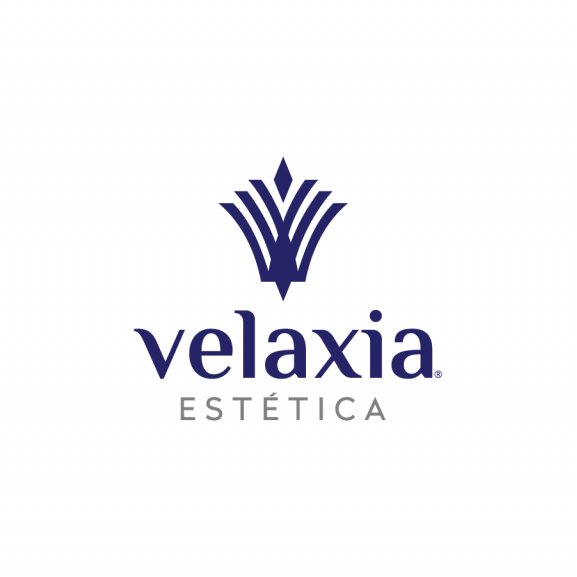 Velaxia Logo