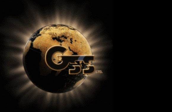 GSS Gold Standard Solutions Logo