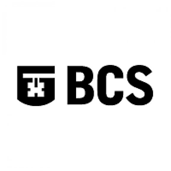 BCD Logo