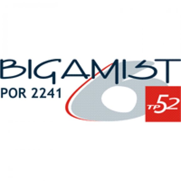Bigamist VI Logo