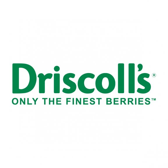 Discoll's Logo