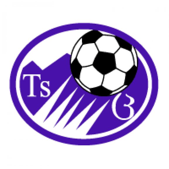 FC Tskhinvali Logo