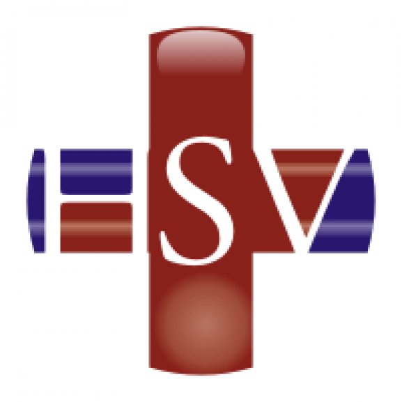 Hospital Sao Vicente Logo
