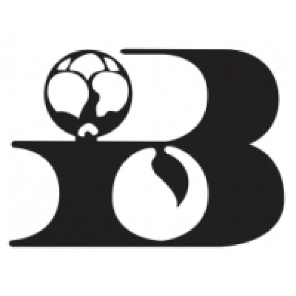 Hyundai B Logo