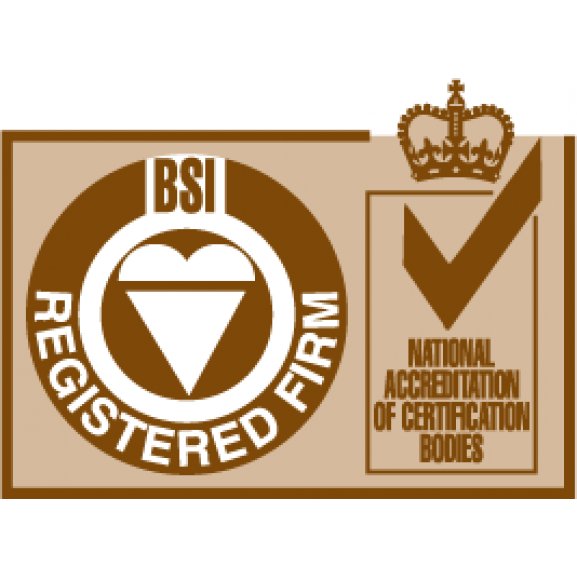 ISO BSI Registered Firm Logo
